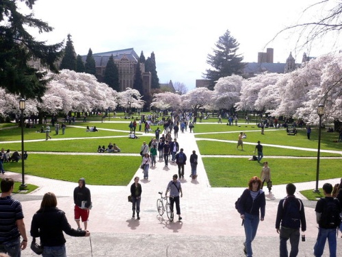 美丽的华盛顿大学校园