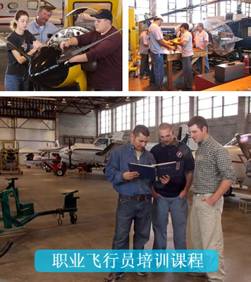 īѧ˹ΤУְҵԱѵγ